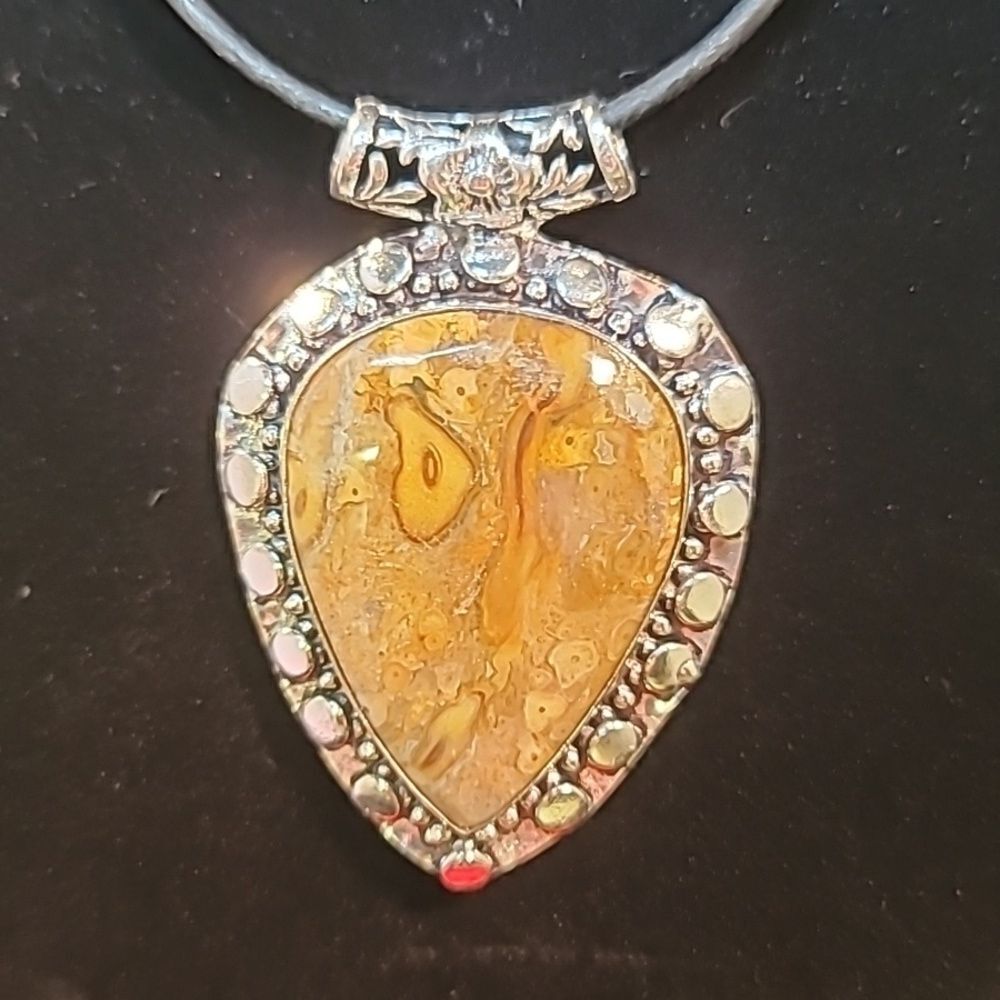 0231. NWOTs ~ So Unique!! Mud Crack Fossil Gemstone in Sterling Silver Pendant ~